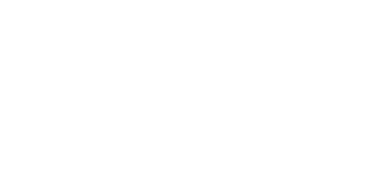 Citi Modeller